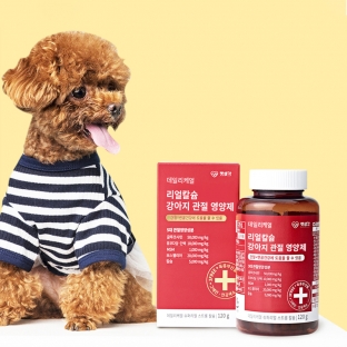 펫생각 데일리케얼 강아지 관절영양제 슈퍼 리얼 칼슘 (60일분)