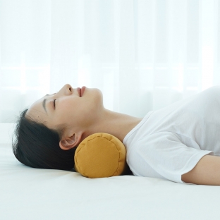 거북이 경추베개