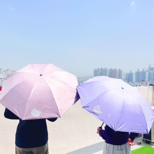 곰돌이 양우산